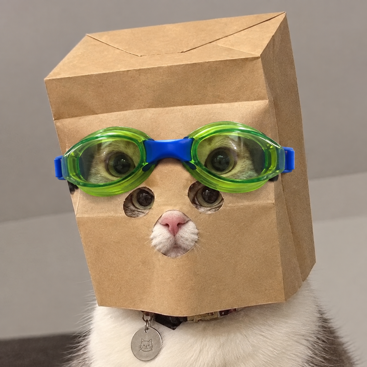 Anonymous Nascat wearing a paper bag mask and green goggles
