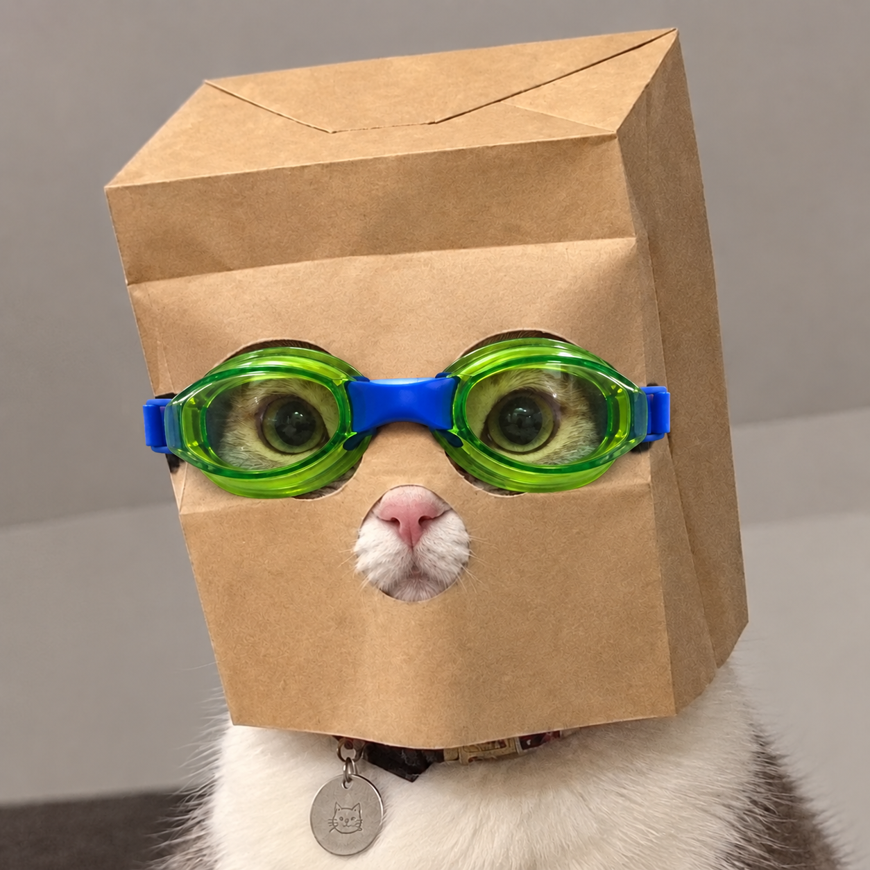 Anonymous Nascat with green goggles aligned over the paper mask eye cutouts