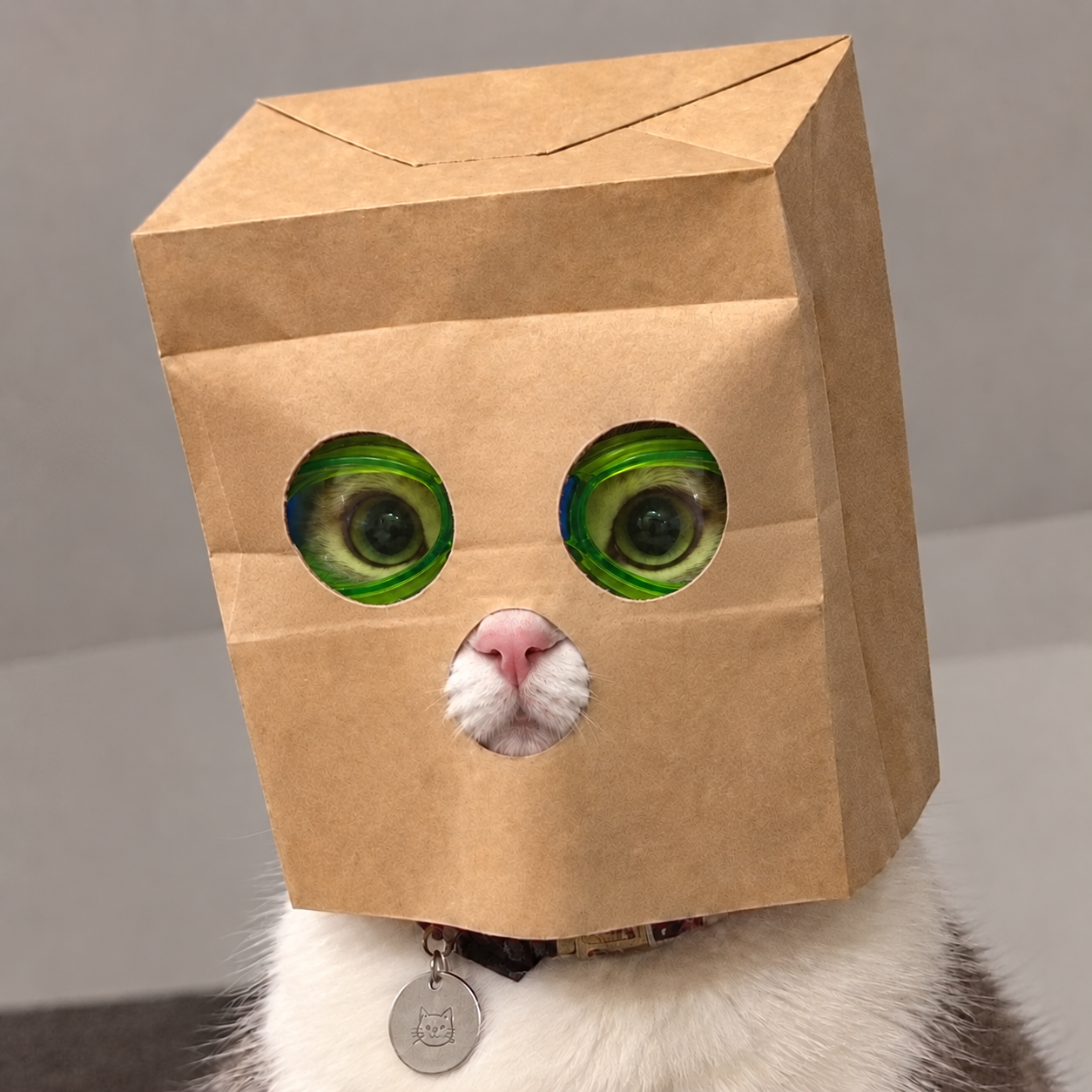 Anonymous Nascat with green goggles hidden under the paper mask